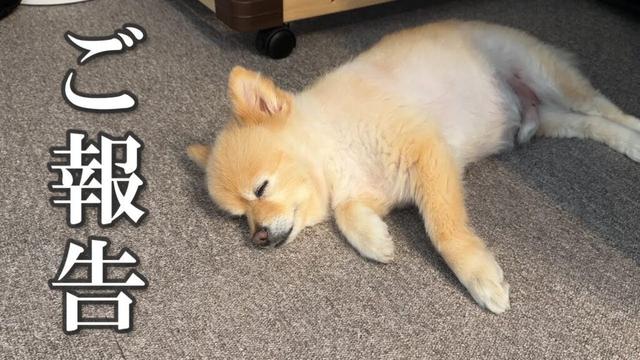 【ご報告】腫瘍と肝臓の検査結果についてお話があります…