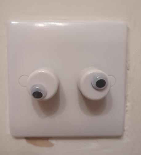 Two-gang dimmer switch with an off-centre googly eye on each knob.