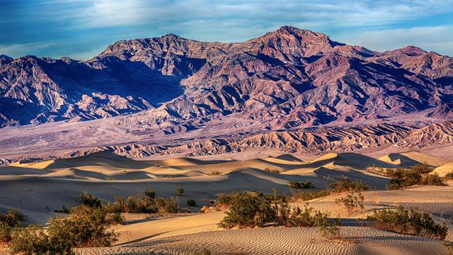 Scrappy little trees - © Mimi Ditchie Photography / Moment / Getty Images