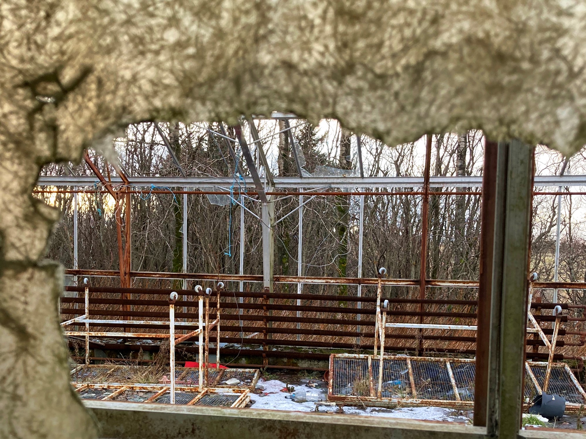 A look into an abandoned greenhouse.