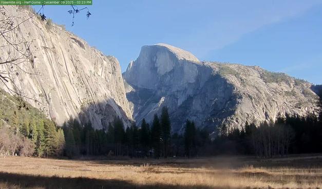 Half Dome rises behind a meadow and a cliff on the left
