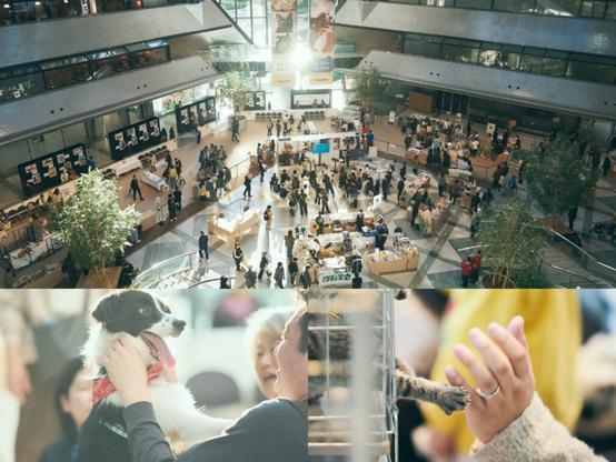 「パナソニック 保護犬猫譲渡会2025」イベント開催レポート（大阪） | パナソニック株式会社 コミュニケーションデザインセンターのプレスリリース