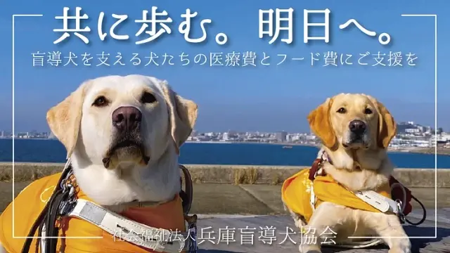 社会福祉法人兵庫盲導犬協会