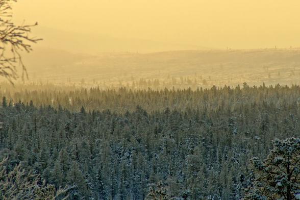 Landscape in lapland