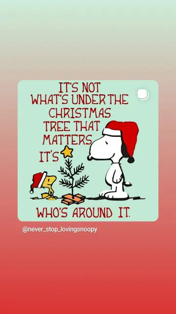 Woodstock und Snoopy mit Weihnachtsmützen stehen vor einem sehr spärlich geratenen Weihnachtsbaum.
Text: it's not what's under the Christmas tree that matters, it's who's around it.