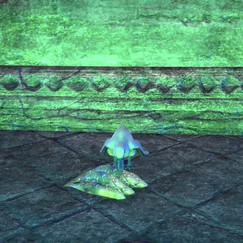 the white auk like bird and their pile of fish. it appears to be pecking at them