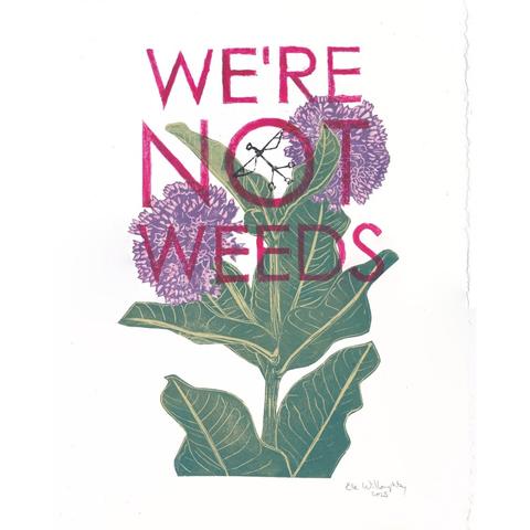 My linocut print on Arches paper with a deckle edge shows a common milkweed plant on collaged washi papers in green and plum overprinted with magenta sans serif text “WE’RE NOT WEEDS” with the Robobee pollination drone in black on an angle inside the O. The little drone is a vertical shaft with a dot and two wings at the top and a tripod at the bottom.