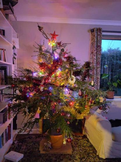 A christmas tree adorned with tinsel, lights and many baubles. It's beside a bookcase and a couch.