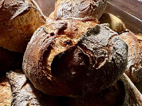 Auf einem dunklen Holztisch liegt ein Holzbrett. Darauf liegen zahlreiche frisch gebackene Brötchen mit rustikalem Ausbund.
