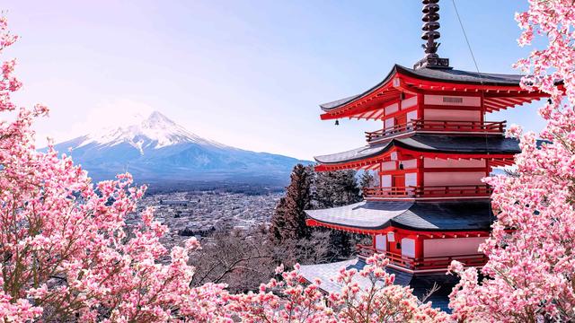Sakura season - © Stockbym / Shutterstock