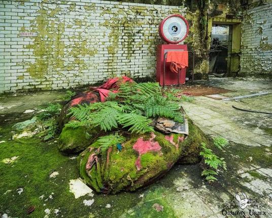 Decaying laundry back and mossy debris sit inside an abandoned building with peeling paint and open doorways.