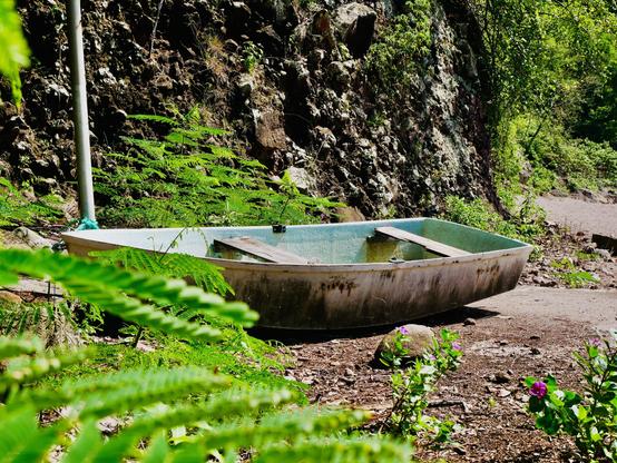 Photo d’une barque à terre, posé à côté d’une falaise sur la page au milieu de la végétation 

Photo of a boat on land, placed next to a cliff on the page in the middle of the vegetation