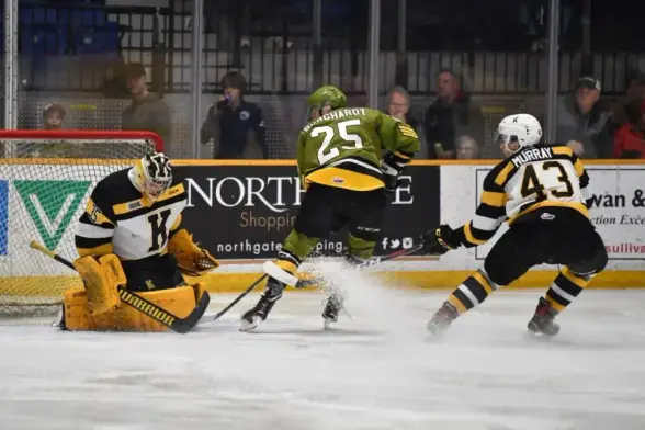 Toronto Maple Leafs organization signs 26-year-old goalie to a PTO