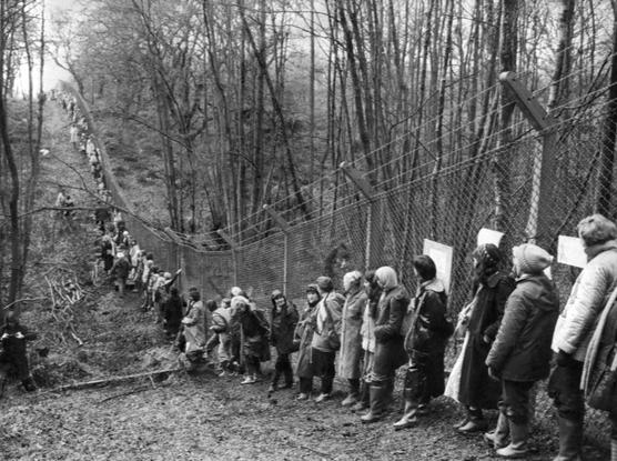 A black and white photo of some woods in winter. A long chainlink fence, topped with barbed wire, stretches from the rightmost corner to the horizon, following dips and hollows in the land. Along its entire length, as far as the eye can see, women are standing along the fence.