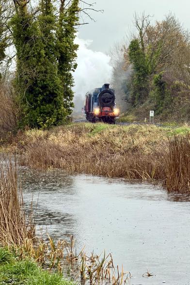 A portrait-oriented telephoto front-on view of a steam train with a big head of steam and a red name board framed between bare trees covered in green ivy leaves with a sliver of water in the foreground speckled with big raindrops. The line runs straight at the camera and then turns right in front of the train.