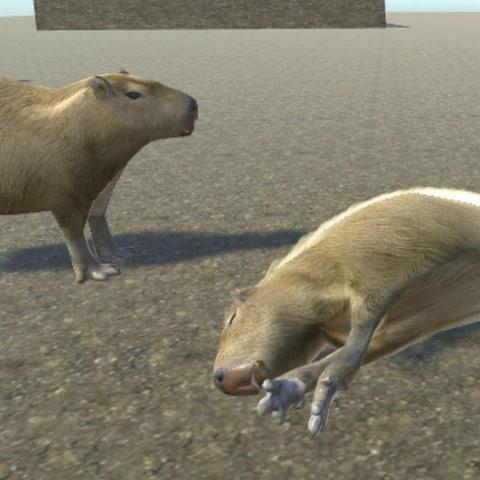 Imagen de un capibara