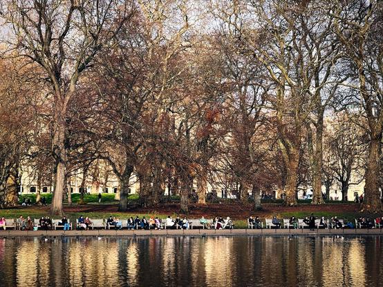 People sit on a long row of overa dozen benches, seen on the far shore across the lake in St James's Park in London with almost leafless autumn trees behind them, and off-white buildings peeking through the gaps the distance.
