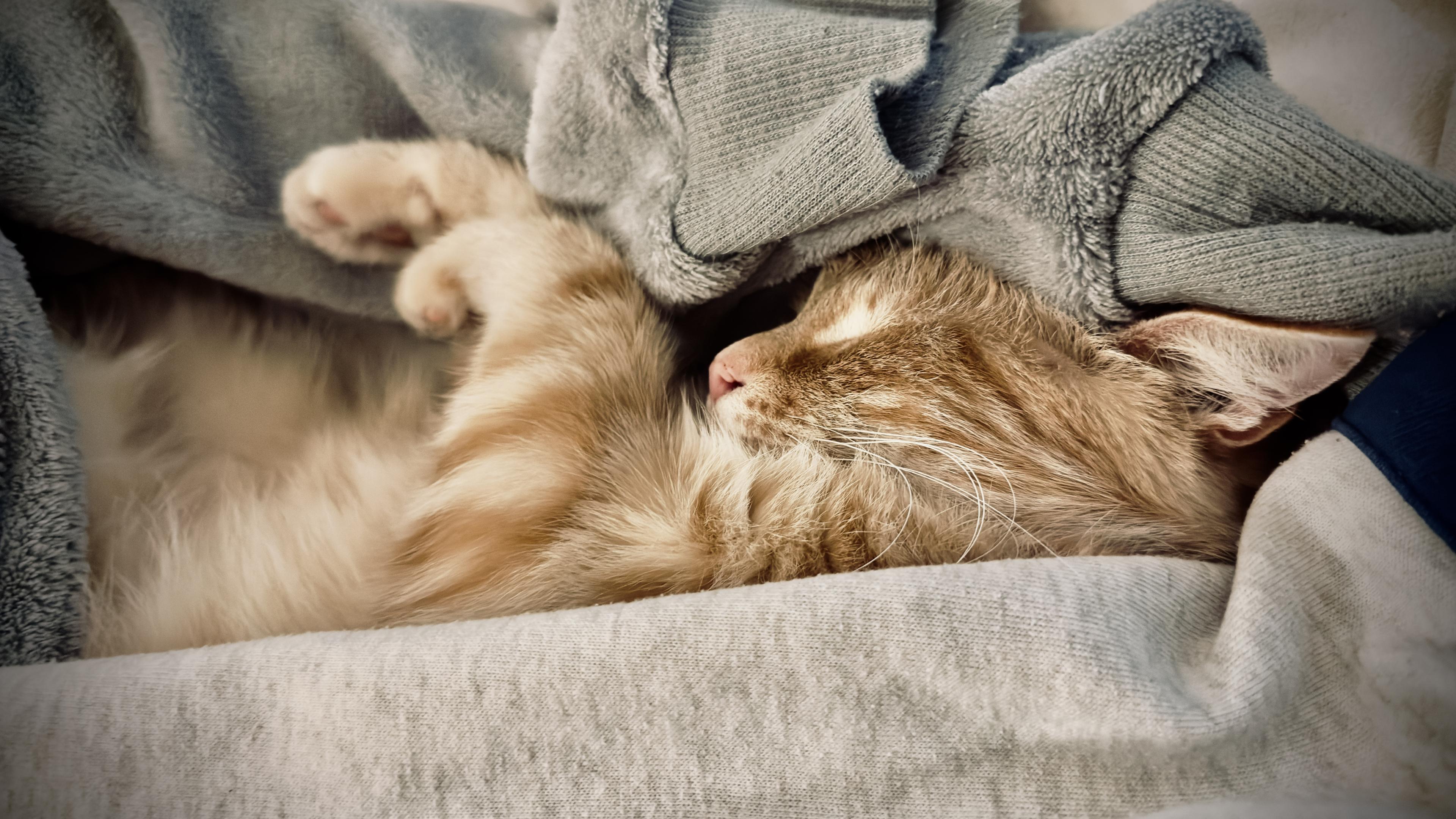 Washy snuggles up in cloths