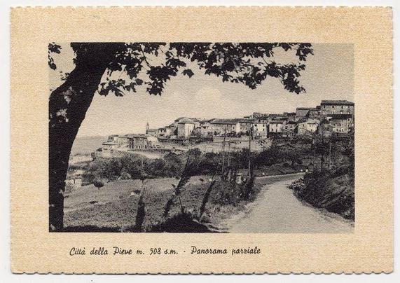 The image shows a vintage black and white photograph depicting an old European village nestled on a hillside. A prominent tree branch with sprawling leaves frames the upper left corner of the picture, leading down to a cobblestone path winding through the scene towards buildings clustered atop the slope in various shades of gray that convey their age and texture. The architectural style suggests historical significance typical of regions like Tuscany or Umbria in Italy.

At the bottom center of the photograph is handwritten text providing location details: "Città della Pieve m. 508 d.m." which translates to "City of Pieve, at an elevation of approximately 508 meters above sea level" and "- Panorama parziale," meaning "- Partial panorama."

In a smaller font below the image is additional handwritten text that reads: "Città della Pieve m. 508 d.m." which appears to be reiterating or emphasizing the elevation detail mentioned at the bottom center.

The overall aesthetic of the photograph suggests it could have been used as postcard material, capturing a quaint and picturesque view typical for tourism promotion during its time.