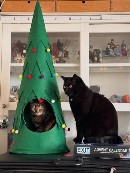 A small tabby cat sat in the bottom of a felt Christmas tree, looking out. A larger black cat is sat next to the tree.