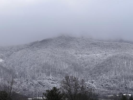 A snow-covered mountain range in the Blue Ridge of Virginia shrouded in fog, with trees blanketed in white. The scene conveys a serene winter landscape.