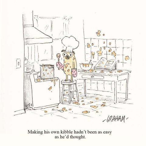 A cartoon illustration of a distraught pug wearing a chef's hat and spattered in kibbles he was cooking. Caption reads "Making his own kibble hadn't been as easy as he'd thought."