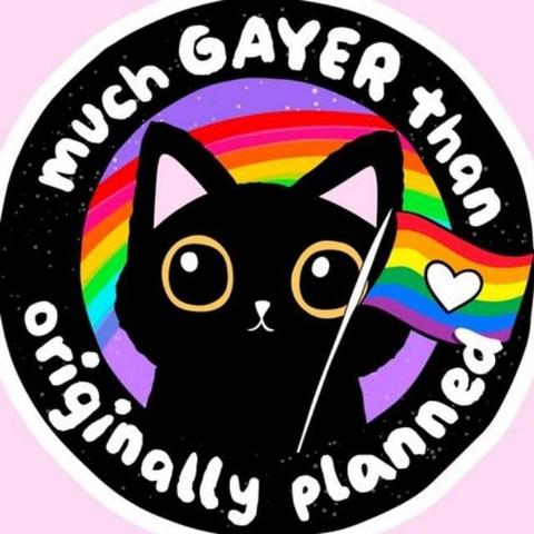 Sticker art showing a black cat holding a pride flag with a heart in it while A rainbow can be seen in the night sky behind. Text around the edges of the circle says:

much GAYER than
originally planned