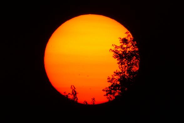 Photograph of a large yellow and orange sun against a black sky with trees in silhouette along its bottom and right.