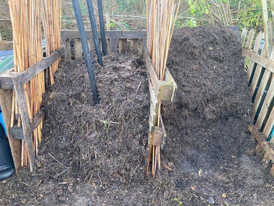 Two compost bays are made from five pallets. Two pallets provide the back wall and three pallets at right angles make the left side, right side and centre divide of the two bays. Two piles of compost are dark brown. The left hand pile has three black downpipes down the centre line to allow air flow into the centre of the pile. The right side pile is older compost and is noticeably more broken down.