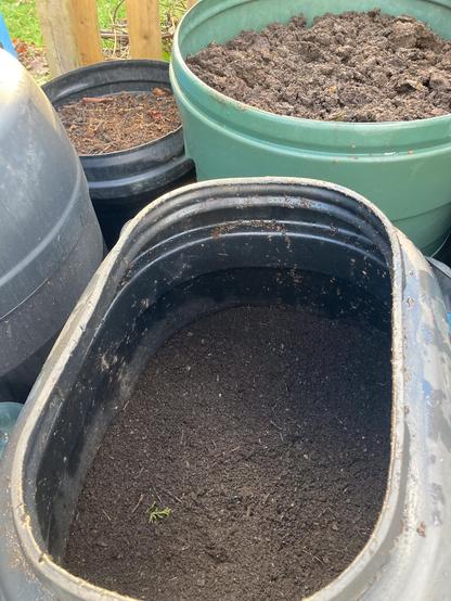 Three different sized plastic bins or compost daleks each contain maturing compost. The lids are off to show the compost inside. An elongated oval bin contains the best, finest compost which has been sieved with a trommel. These three containers of compost will mature over winter and will be the base of the potting mix next spring.