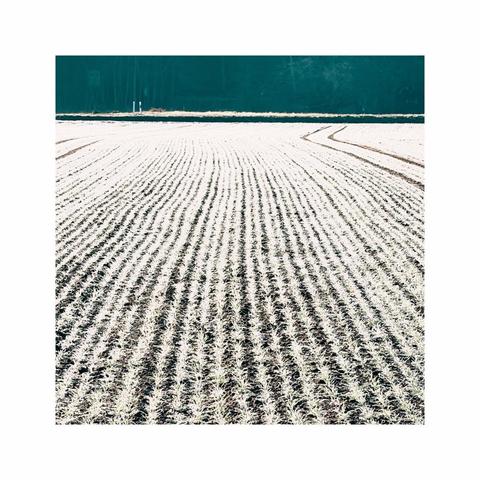a square image showing a freshly carved field in the foreground. the soil is shimmering by a layer of frost. the leading lines of the field put some emphasis on the darker background with its greenish or blueish tone