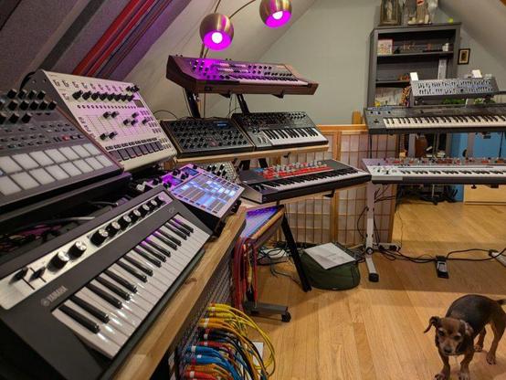 The angle of my studio from my computer. Lots and lots of synths, samplers, and drum machines, with a little dog moving about the cabin.