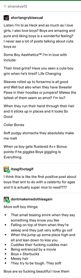 silverskyel3
shortangrybisexual
Listen I'm bi as Heck and as much as I love girls, I also love boys? Boys are amazing and pure and liking boys is a wonderful feeling? I never see a lot of posts talking about cute boys so
Some Boy AestheticsTM I'm in love with include:
Their tired grins? Have you seen a cute boy grin when he's tired? Life Changing
Sleeves rolled up to forearms is all good and Well but also when they have Sweater Paws in their hoodies or jumpers? Makes the tallest of them seem so smol? I'm lov?
When they run their hand through their hair and it sticks up in places and it looks So Good
Collar Bones
Soft pudgy stomachs they absolutely make me melt
When ya boy gets flustered A++ Bonus points if he giggles Boys giggling is Everything
itsagifnotagif I think this is like the first positive post about boys that isnt to do with a celebrity for ages and it is actually super nice to read????
dontmakemedothisagain More soft boy things:
• That small teasing smirk when they say something they know you like • Falling on top of them when they're asleep and they just very softly go oof • When the jump up some place high and sit and lean down to kiss you • Cuddles their fucking cuddles man • Being entranced by a movie • Boys + Starbucks • Messy hair • They try to be tough. They soft
Boys are so fucking beautiful I love them