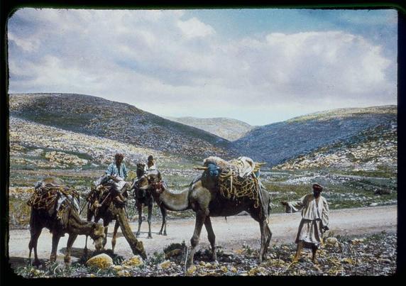 The image depicts a rural scene with three men and two camels in an arid landscape. The man on the left is seated atop a camel, dressed in traditional attire including a turban and robe, suggesting cultural heritage from regions like North Africa or Asia Minor. He holds what appears to be a book or journal, possibly indicating he might be traveling for work that involves documentation.
The central figure stands beside another larger camel adorned with ornate headstalls and draped with colorful textiles resembling curtains or blankets, hinting at its use in ceremonial functions or trade caravans of the past. The second man is standing to his right, wearing a long tunic and turban, gesturing as if engaged in conversation.
In the foreground, another camel grazes on sparse vegetation amidst rocky terrain scattered with yellow flowers. This setting suggests an arid environment like those found between Jaffa (now Tel Aviv) and Jerusalem, possibly within or near Ajalon Valley where historical narratives indicate biblical encounters during religious conflicts involving Joshua's army as recorded in the Book of Judges.
The sky is partly cloudy but bright, indicating daytime conditions with ample sunlight. The overall composition captures a moment that evokes both daily life and cultural practice from an earlier period in Middle Eastern history.