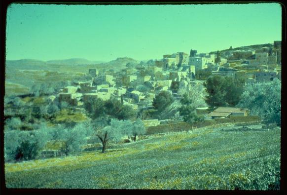 The image depicts a rural landscape with green fields in the foreground and terraced hillside houses in the background. The colors have an unusual, almost monochromatic blue-green tint that may be due to weathering or age of the photograph.
In the center-left portion of the photo stands a solitary tree without leaves on its branches, suggesting it might not be summertime. Olive groves can also be seen scattered around the village and fields extending into the distance where they merge with rolling hills in the far background under clear skies. The architecture appears traditional, possibly Middle Eastern or North African.
The image seems to have been taken between 1950 and 1977 as per the caption "Jaffa to Jerusalem." Kirjath Jearim. Abu Ghosh. I Sam. 7:1-2," which indicates a geographical context within Israel, particularly in relation to biblical locations.
The photograph is credited to Matson Photo Service with an identification number of '691e'. The format mentioned as "1 slide" and the size specified as "2 x 2 in." imply it may be part of a collection or exhibit.