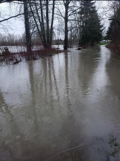 Dusk picture of a flooded trail bordering a river. The river banks, lined by trees, have been breached. The water extends directly from the river into the trail. A pair of picnic tables are partially submerged on the water.