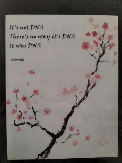 A lovely artwork of branch with little pink flowers, in the upper left is a Haiku poem.
It's not DNS.
There's no way it's DNS.
It was DNS.