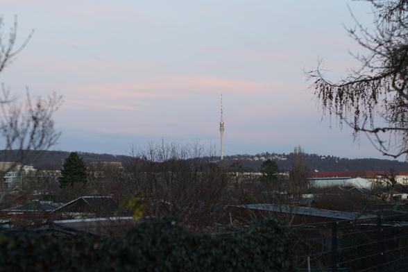 APS-C crop wie ihn die Kamera ausspuckt (entspricht dann in meinem Fall 50mm*1,6 also dem Blickwinkel von knapp 80mm, bei 19 Megapixel)