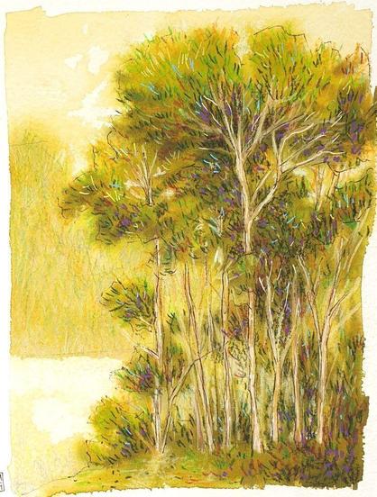 A painting of a group of trees at the edge of a lake, the painting has a soft appearance due to a series of gouache washes. The palette is mostly green with some yellow and touches of other colours.
An original art work, please note that the frame is not included.
Gouache and mixed media painting on acid free watercolour paper.
6 by 8 inches (15.24 by 20.32 cm).