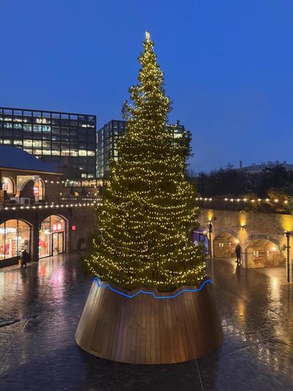 A large Christmas tree in a paved area surrounded by shops in arches. The sky is dark blue and the tree is covered in warm white lights.