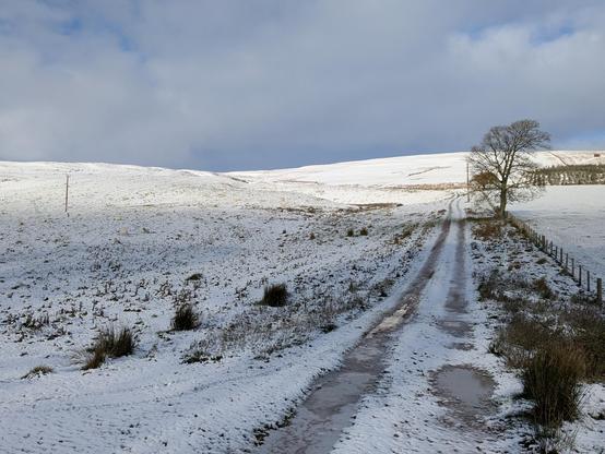 Colour photograph of a snowy scene. A track runs uphill on the right of the frame, next to a post and wire fence. There is a small tree around half way up the slope. The sky is cloudy.