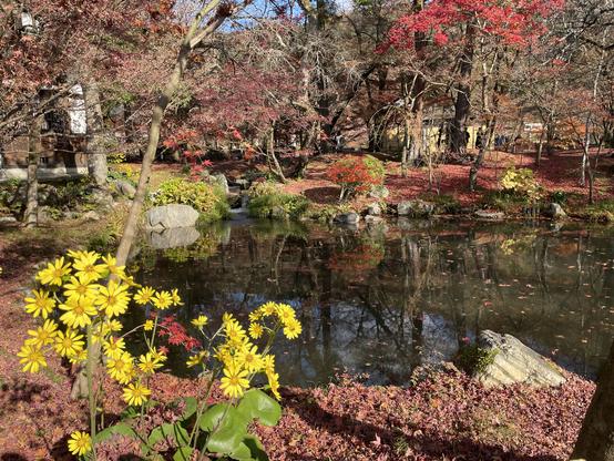 A little pond outside of Eikandō
