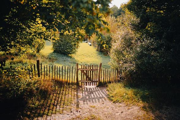 A path behind Nationalparkhaus Thayatal.

Lower Austria, Austria.