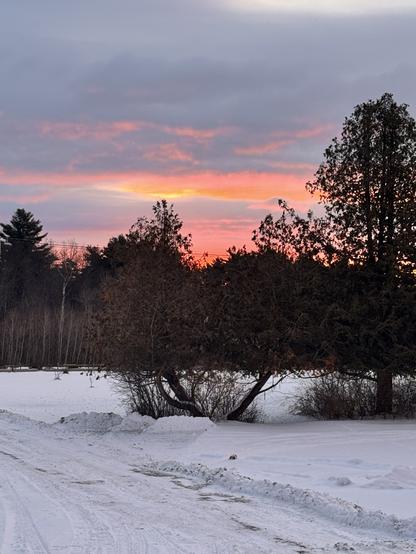 Snowy sunrise