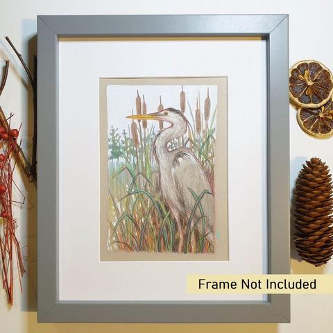 A small drawing of a grey heron standing among bulrushes, the drawing is in soft tones. Grey Herons are unmistakeable birds. They are tall, with long legs, a long beak and grey, black and white feathering. They can be found throughout the UK on on canals, ponds, lakes and rivers.
An original art work, please note that the frame is not included.
Colour pencil and mixed media on acid free toned artist paper
5 by 7 inches (12.7 by 17.8 cm).