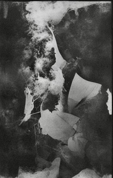 Observable Elements:
- Primary dark mass: Central vertical formation with irregular edges
- Secondary dark mass: Upper right quadrant, distinct boundary
- Light masses: Dispersed clouded formations, variable density
- White angular forms: Lower half, petal morphology, approximately 4-6 visible specimens
- Textural grain: Uniform distribution across entire surface
- Tonal gradation: Continuous spectrum from dense black to bright white

Spatial Relationships: Dark and light masses interpenetrate without defined separation. White petal forms positioned in lower third. Clouded masses concentrate in left and upper portions, creating areas of medium gray tonality.

Surface Quality: Granular throughout. Evidence of photographic emulsion. No discernible focal plane; all elements appear equally resolved within the printing medium.​​​​​​​​​​​​​​​​