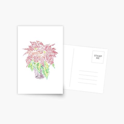 still life color pencil illustration of a potted plant poinsettia printed on a post card