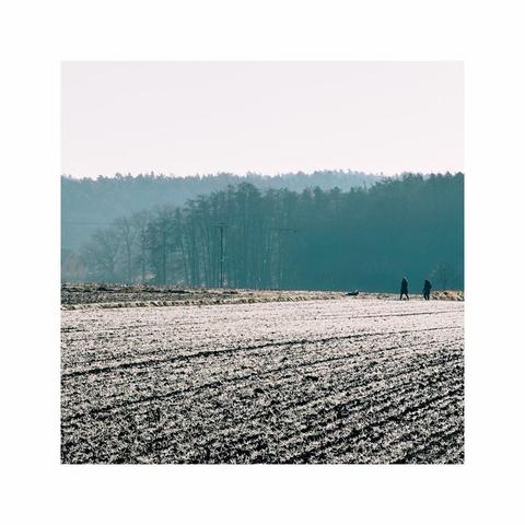 a square image of a snowy field in the foreground. two tiny silhouette figures are walking along the horizon line. in the background there are different shades of a distant forest