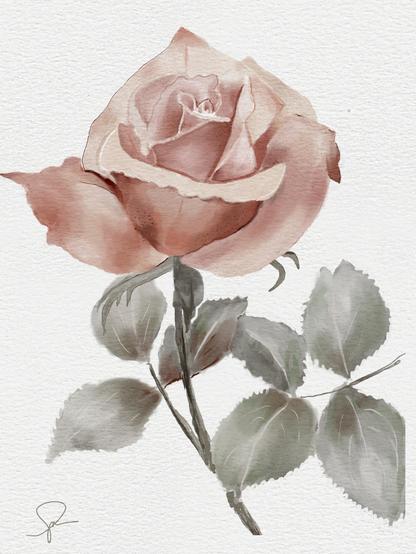 Digital watercolor painting (done with Procreate) of a pale dusky-pink rose bloom, half opened, with pale/silvery green leaves, against a cream-colored background.