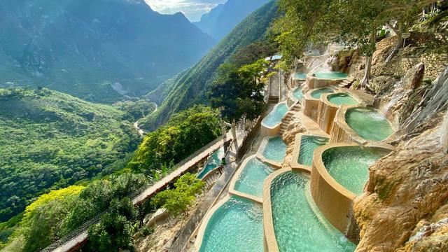 Soaking in the view - © Tico Utiyama / Shutterstock